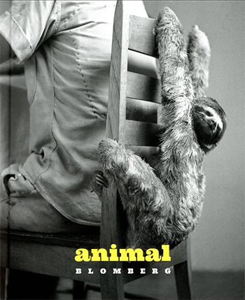 Fotolibro bilingúe “Blomberg Animal”. Archivo Blomberg, 2019.